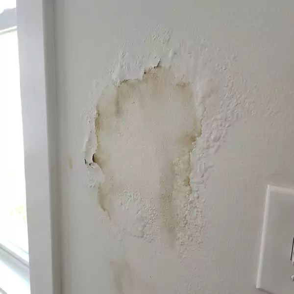 Expert Drywall Water Damage Repair in Davie, FL