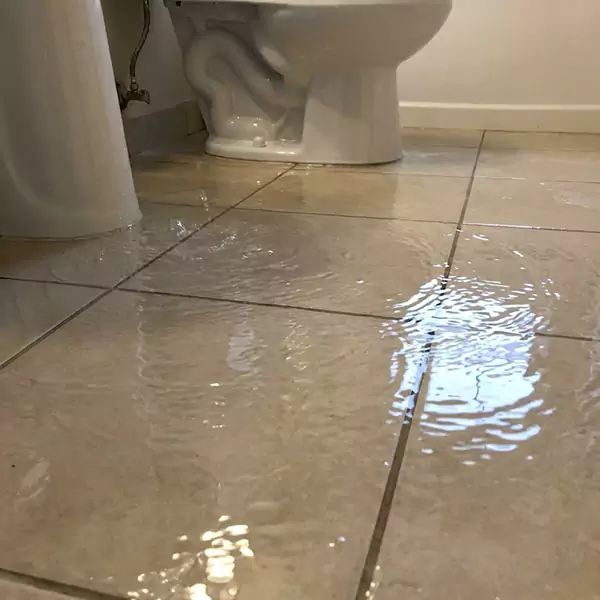 Expert Flooded Bathroom Restoration in Davie, FL 