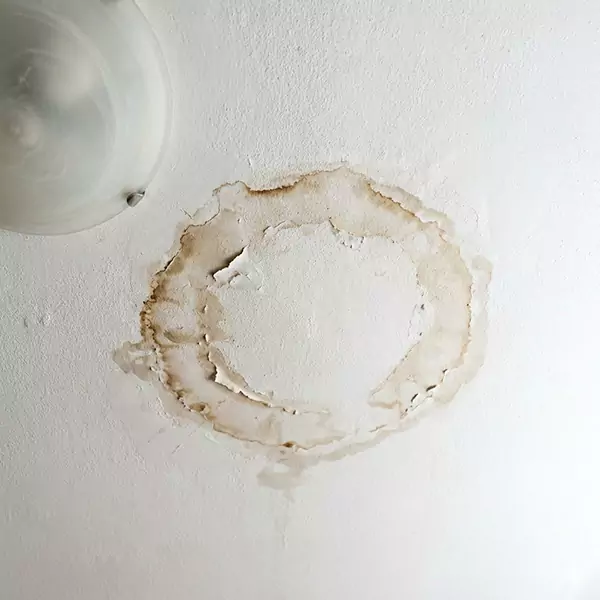 Leaking Ceiling Repair in Davie, FL 