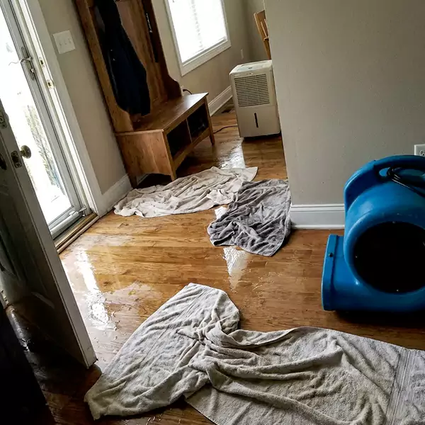 Water Mitigation in Davie, FL