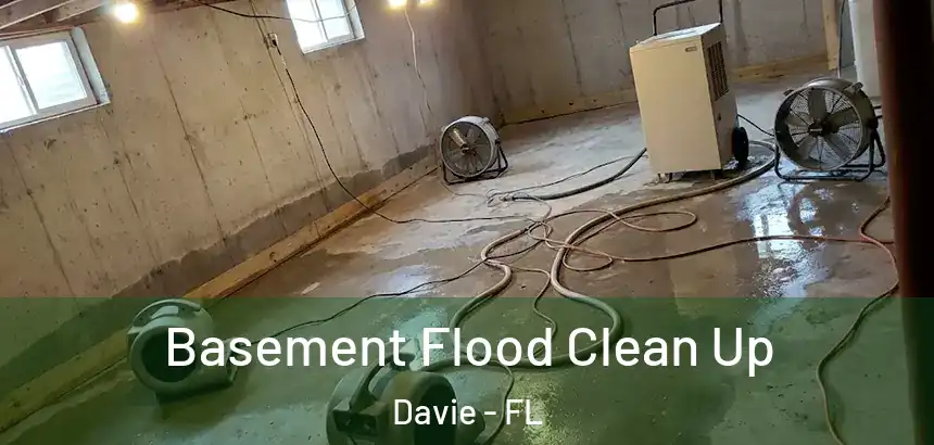  Basement Flood Clean Up Davie - FL