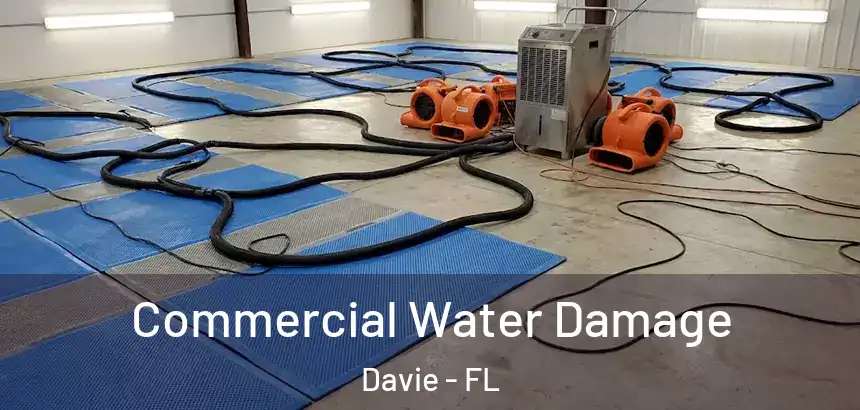  Commercial Water Damage Davie - FL