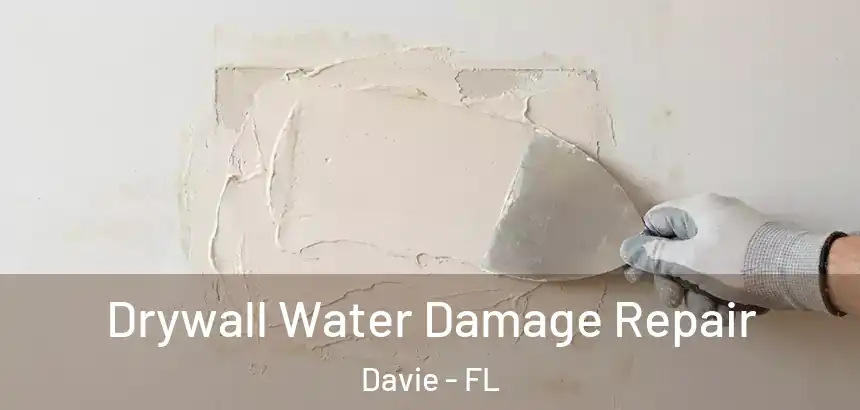  Drywall Water Damage Repair Davie - FL