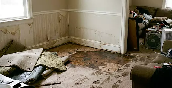 Why Choose Davie FL Water Damage For Water Damage Restoration Services in Davie, FL?