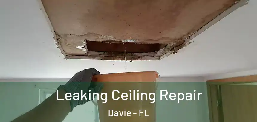  Leaking Ceiling Repair Davie - FL