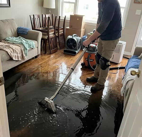 Why Homeowners & Businesses Choose Davie FL Water Damage for Flood Restoration in Davie, FL?
