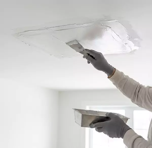 Why Homeowners and Businesses Choose Davie FL Water Damage for Leaking Ceiling Repair in Davie, FL?