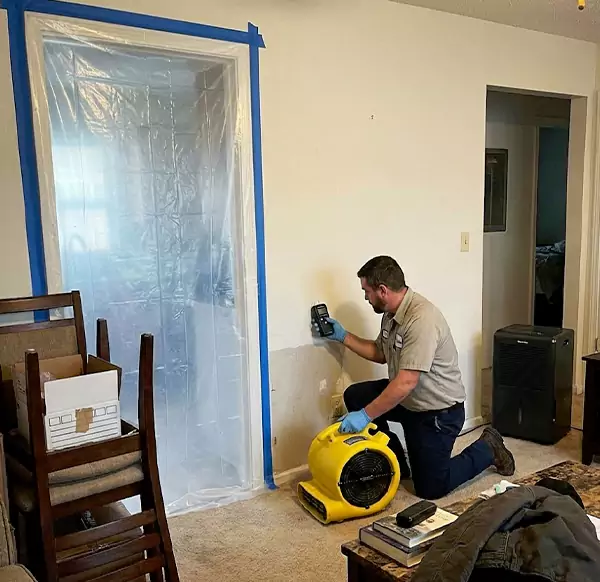 Why Homeowners & Businesses Choose Davie FL Water Damage for Water Remediation in Davie, FL?