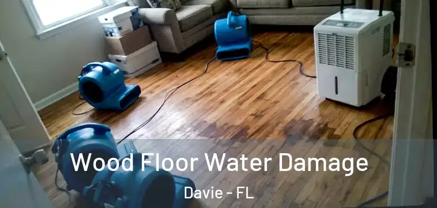  Wood Floor Water Damage Davie - FL